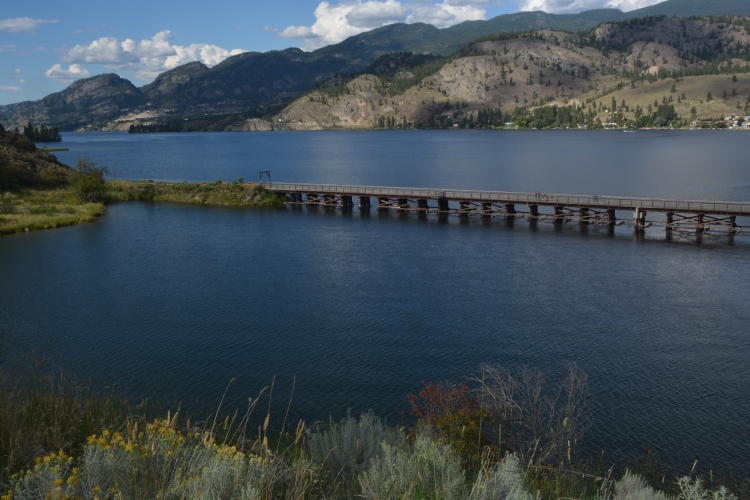 walking bridge over lake